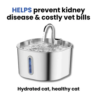 Protect your cat from dehydration and urinary emergencies with Speshcart 4 Months